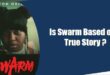 Is Swarm Based on a True Story ?