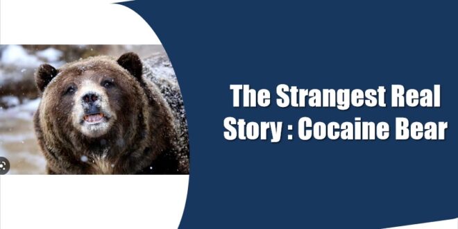 real story of cocaine bear