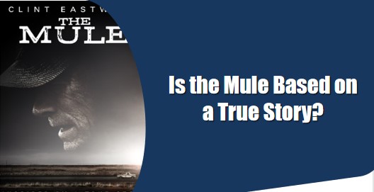 is the mule based on a true story