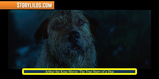 Arthur the King Movie: The True Story of a Dog